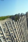Cape Cod beach fence