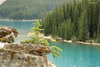Moraine lake turquoise water