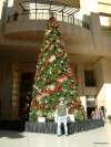 Karácsonyfa a Kodak Theater előtt Hollywoodban